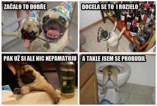 zúbrówka je hardcóre :D